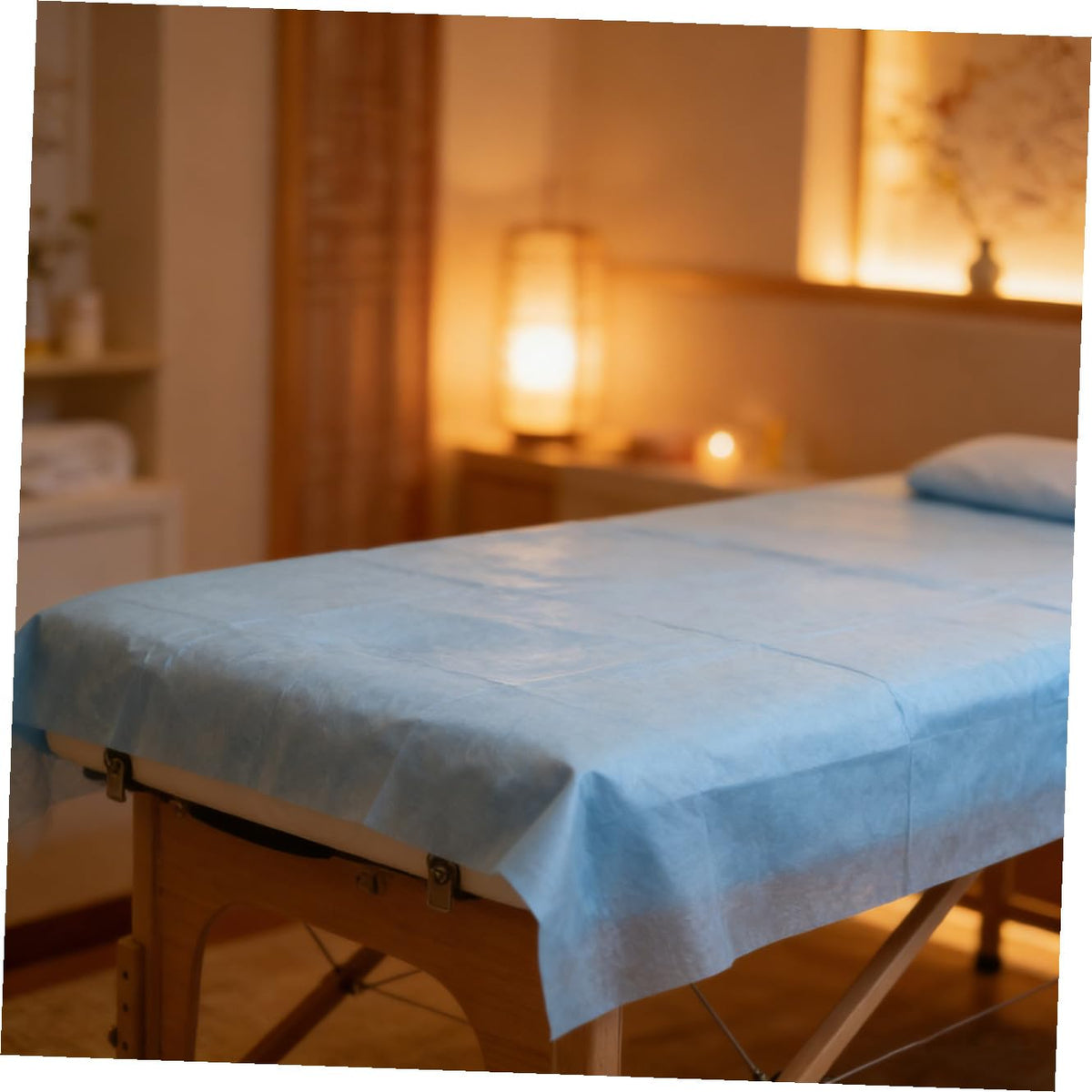 Generic 10pcs Sheets Disposable Bed Cover Duvet Headrest Pillows My Massage Pillow Massage Table Bed Bolster Cooling Pillow Massage Bed Pillow Protectors Blanket Non-woven Fabric Sky-blue